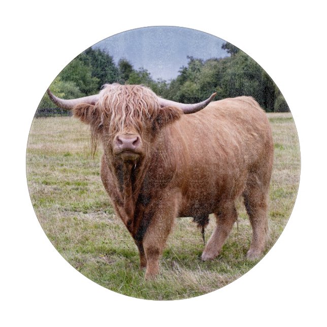 Highland Cow Cutting Board (Front)