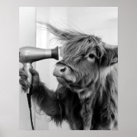Highland Cow Doing Hair Styling Getting Ready