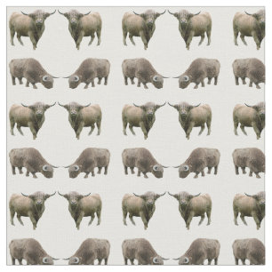 Highland Cow Frenzy Fabric (choose colour)