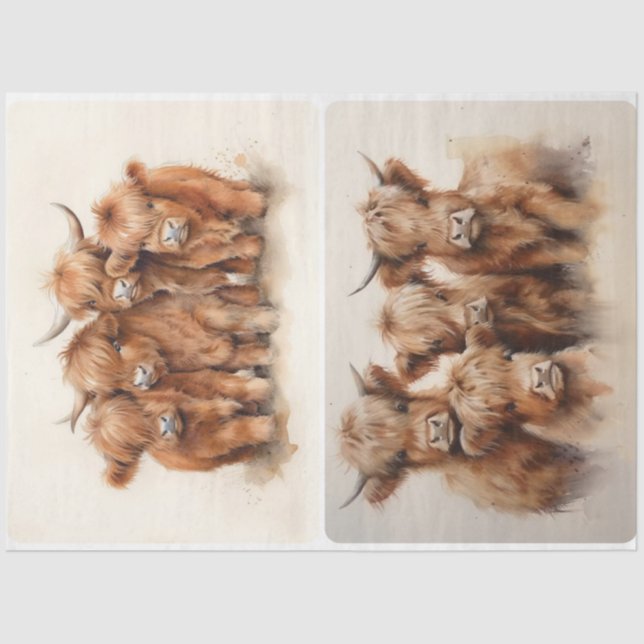 Highland Cow Gathering  Tissue Paper (Front)