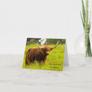 Highland Cow Greeting card