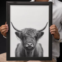 Highland Cow Head Portrait  Black white    