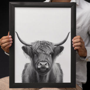 Highland Cow Head Portrait  Black white     Poster