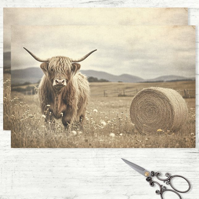 Highland Cow in a Hay Field Decoupage Tissue Paper (Creator Uploaded)