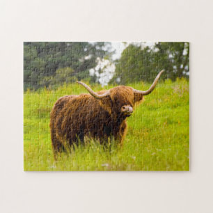 Highland Cow Jigsaw puzzle