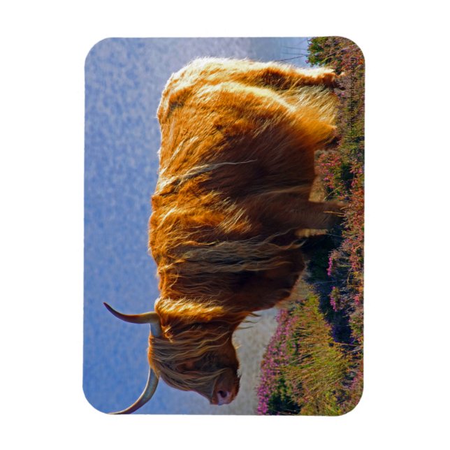 Highland Cow Magnet (Vertical)