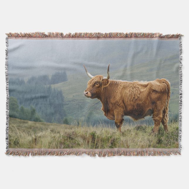 Highland Cow Misty Morning Throw Blanket (Front)