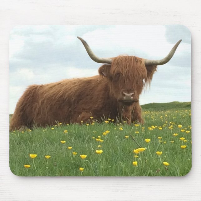 Highland Cow Mouse Pad (Front)