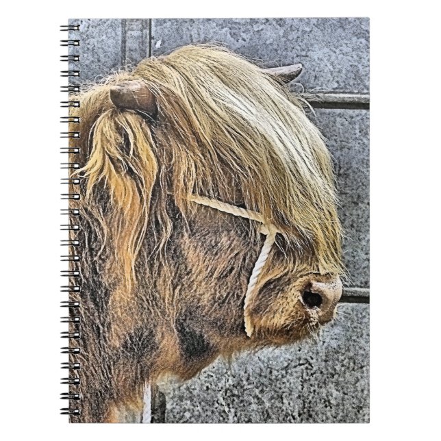 HIGHLAND COW NOTEBOOK (Front)
