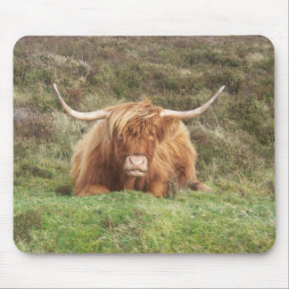 Highland cow on Dartmoor Mouse Pad