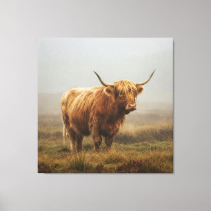 Highland Cow on DAWN Canvas Print