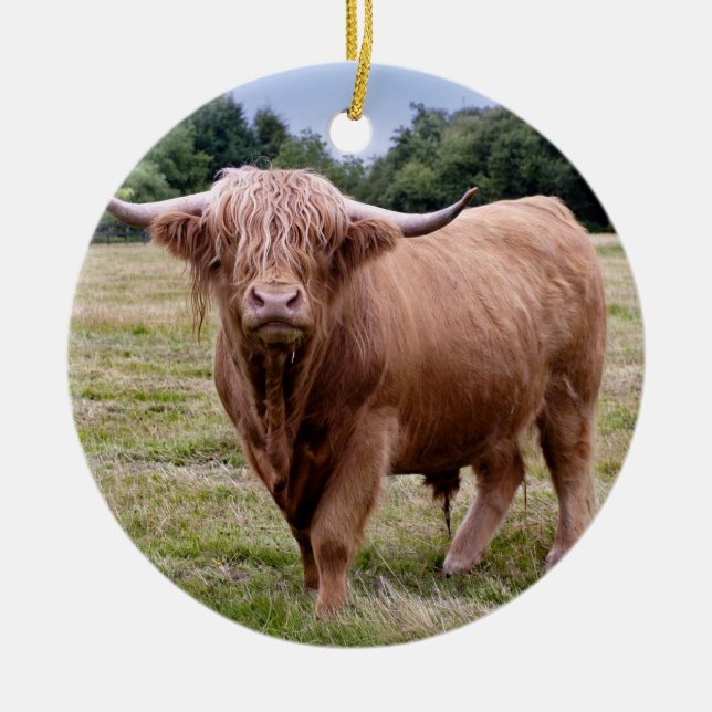 Highland Cow Ornament (Front)