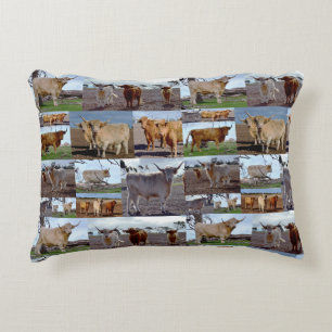 Highland Cow Photo Collage, Decorative Cushion