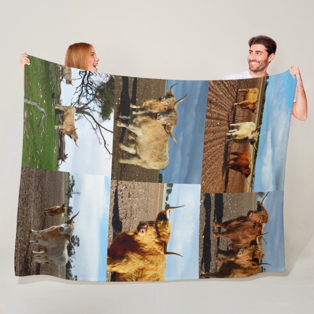 Highland Cow Photo Collage, Fleece Blanket (In Situ)