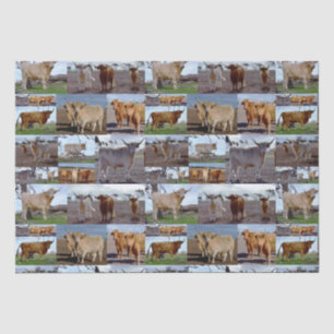 Highland Cow Photo Collage, Tissue Paper