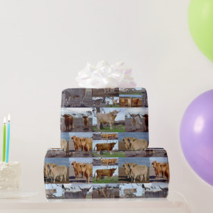 Highland Cow Photo Collage,  Wrapping Paper