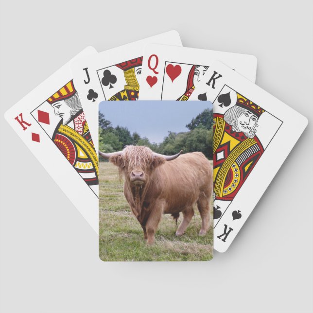 Highland Cow Playing Cards (Back)