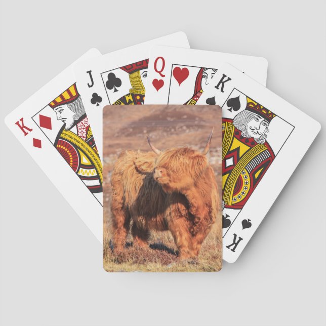 Highland Cow Playing Cards (Back)