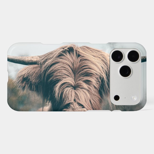 Highland cow portrait (Back Horizontal)