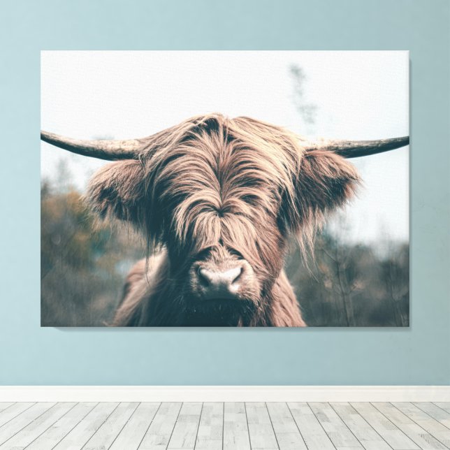 Highland cow portrait canvas print (Insitu(Wood Floor))