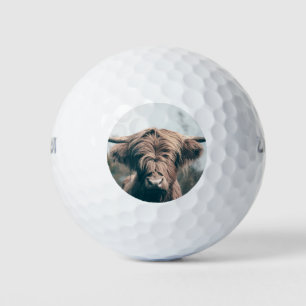 Highland cow portrait golf balls