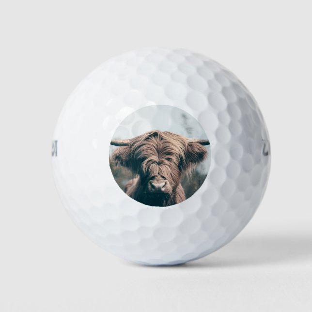 Highland cow portrait golf balls (Front)