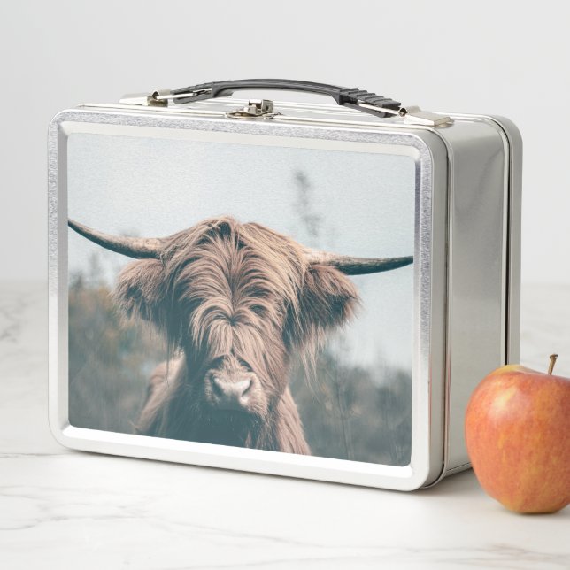 Highland cow portrait metal lunch box (In Situ)