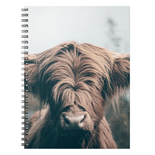 Highland cow portrait notebook (Front)