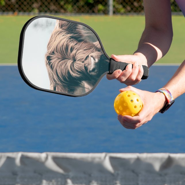 Highland cow portrait pickleball paddle (Insitu)