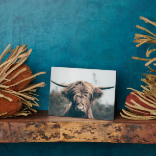 Highland cow portrait plaque