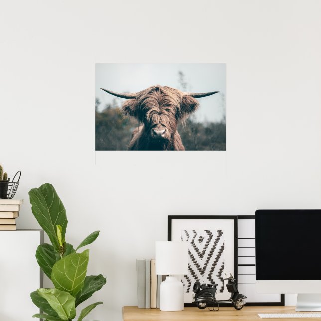 Highland cow portrait poster (Home Office)