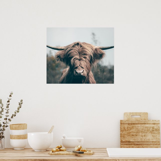 Highland cow portrait poster (Kitchen)