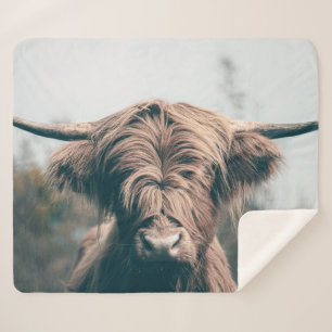 Highland cow portrait sherpa blanket