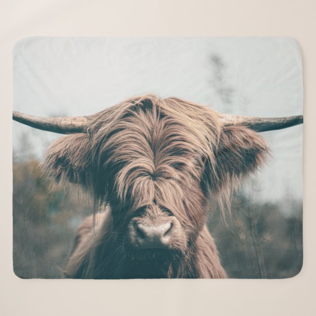 Highland cow portrait sherpa blanket (Front (Horizontal))