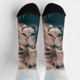 Highland cow portrait socks