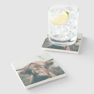 Highland cow portrait stone coaster