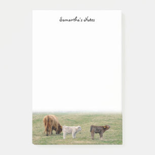 Highland Cow Post-It Notes