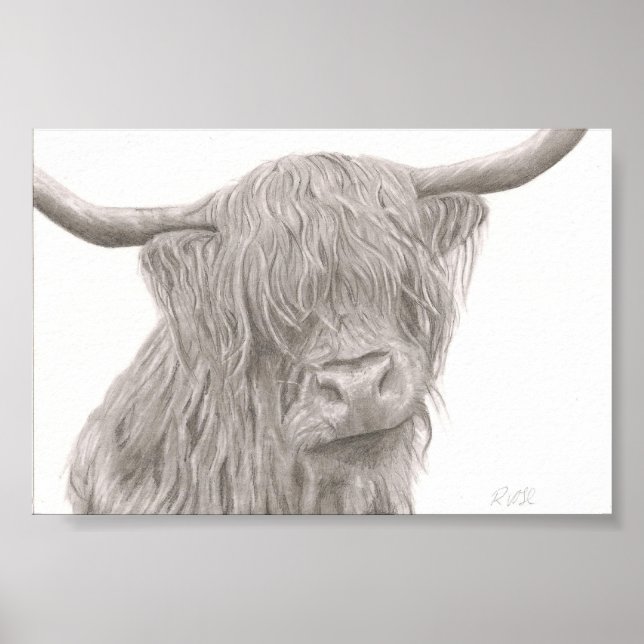 Highland Cow Poster (Front)