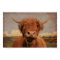 Highland Cow