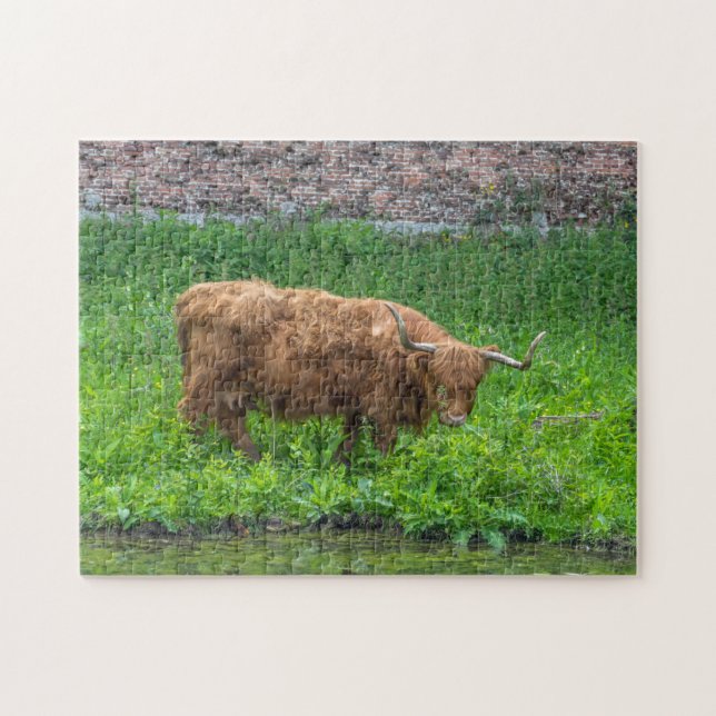 Highland cow puzzle (Horizontal)
