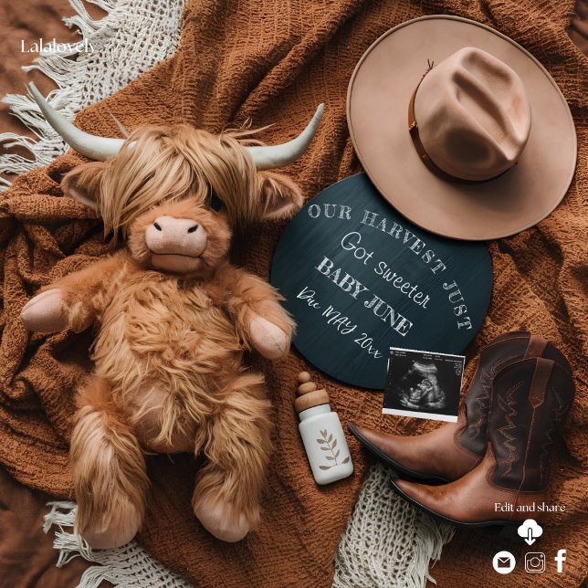 Highland Cow Rustic farm pregnancy announcement  (Creator Uploaded)