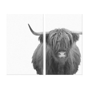 Highland Cow Scotland Rustic Black White  Canvas Print