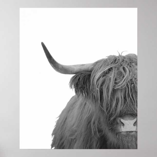 Highland Cow Scotland Rustic Black White Poster (Front)
