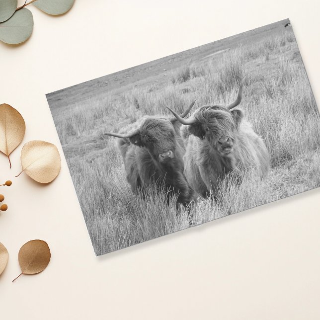 Highland Cow Scotland Rustic Black White   Tissue  Tissue Paper (Creator Uploaded)