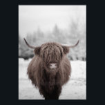 Highland Cow Scotland Rustic Farm Poster<br><div class="desc">This design may be personalised by choosing the Edit Design option. You may also transfer onto other items. Contact me at colorflowcreations@gmail.com or use the chat option at the top of the page if you wish to have this design on another product or need assistance. See more of my designs...</div>