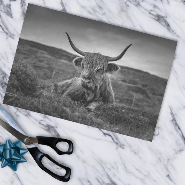 Highland Cow Scotland Rustic  Tissue Paper (Creator Uploaded)
