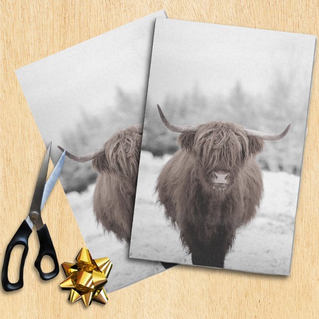 Highland Cow Scotland Rustic  Tissue Paper (Creator Uploaded)