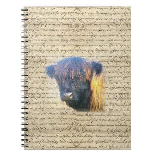 Highland cow spiral notebook