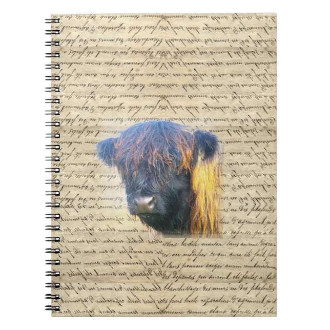 Highland cow spiral notebook (Front)