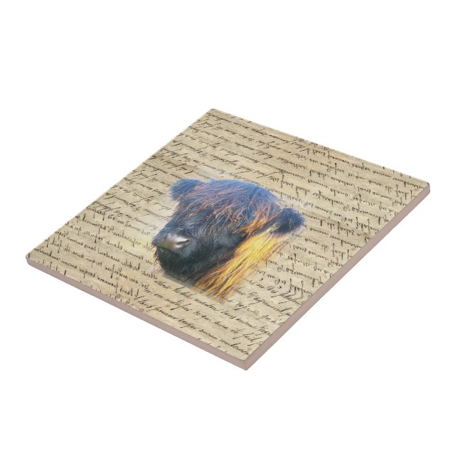 Highland cow tile (Side)
